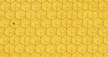 La cera de abeja: Biología, geometría y control de calidad