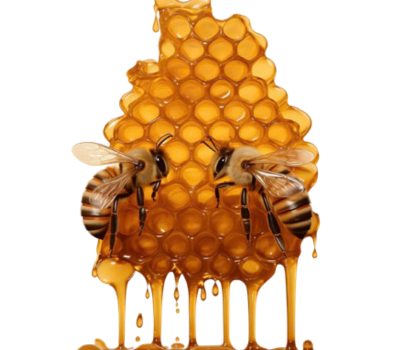 Una revisión de los estudios de campo de ApiHerb