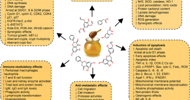 Interesante revisión científica sobre la miel y cáncer