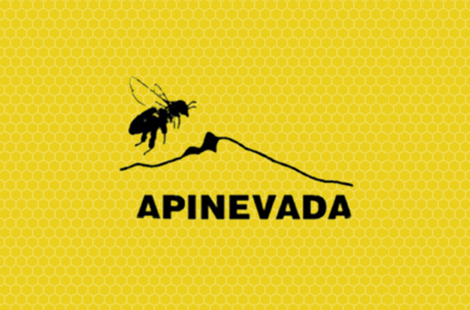 Colocan microchips en abejas de España